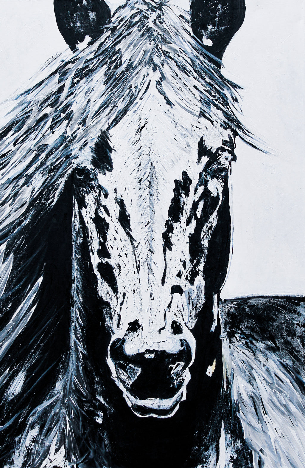 Black and White Horse painting by Ali Bench — full artwork detail